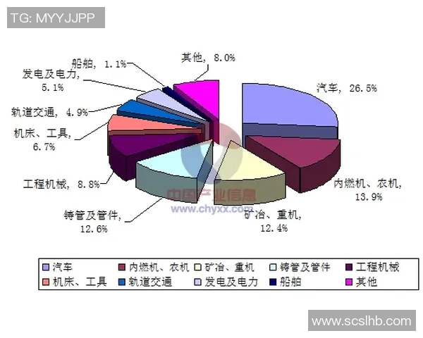 北京排球队的控制革新探索与发展路径分析全景报告 北京排球队的控制革新探索与发展路径分析全景报告