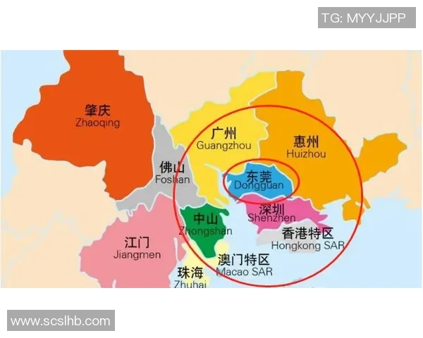 广州排球队在大师赛中的实力展现与未来发展潜力分析 广州排球队在大师赛中的实力展现与未来发展潜力分析