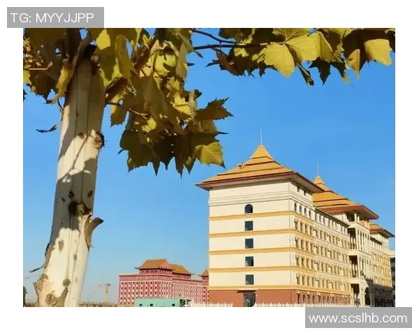 重庆网球队的崛起之路：从默默无闻到联赛强队的奋斗故事