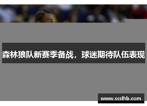 森林狼队新赛季备战，球迷期待队伍表现